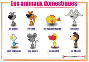 Les animaux