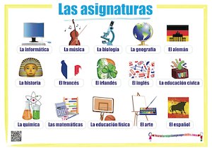 Las asignaturas