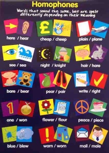 Homophones Wallchart