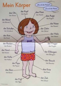 Mein Krper