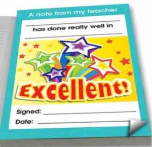 Excellent praise notepad