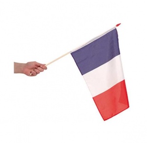 Drapeau franais avec hampe